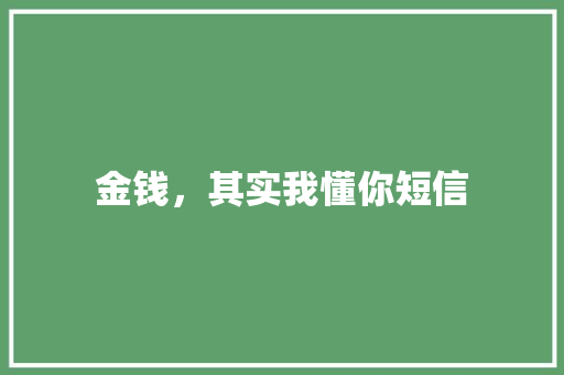 金钱，其实我懂你短信 知识百科