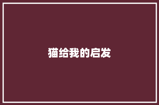 猫给我的启发