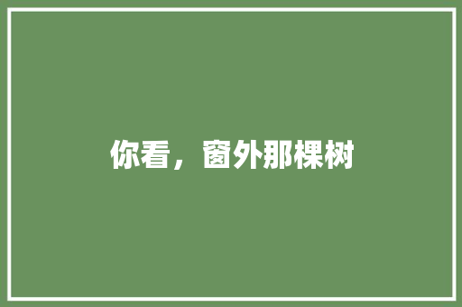 你看，窗外那棵树 知识百科