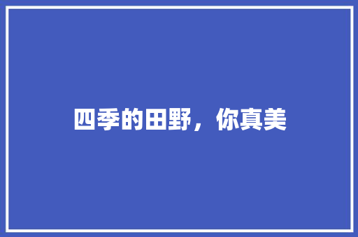 四季的田野，你真美