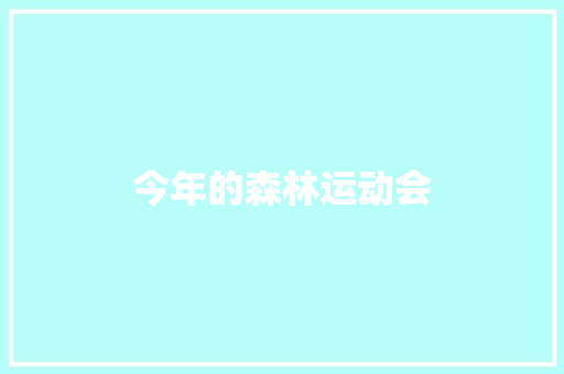 今年的森林运动会