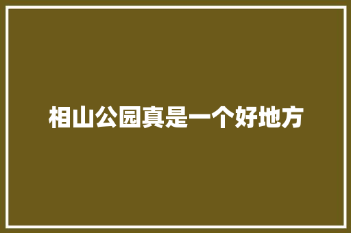 相山公园真是一个好地方