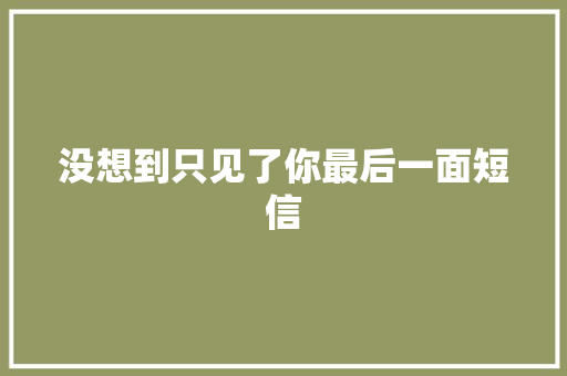 没想到只见了你最后一面短信
