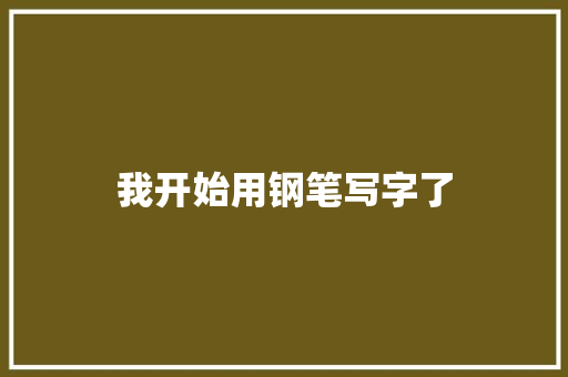 我开始用钢笔写字了
