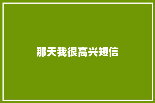 那天我很高兴短信