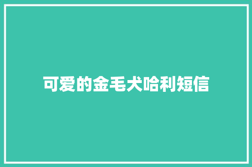 可爱的金毛犬哈利短信