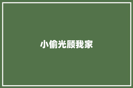 小偷光顾我家