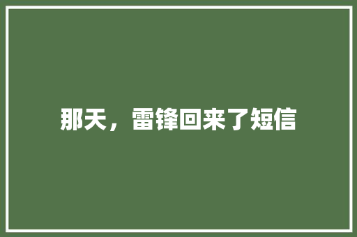那天，雷锋回来了短信