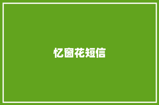 忆窗花短信