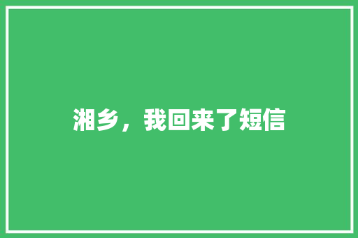 湘乡，我回来了短信