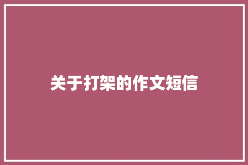关于打架的作文短信