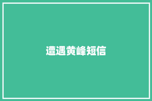 遭遇黄峰短信