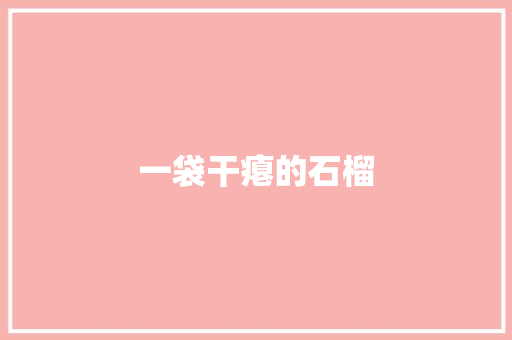 一袋干瘪的石榴