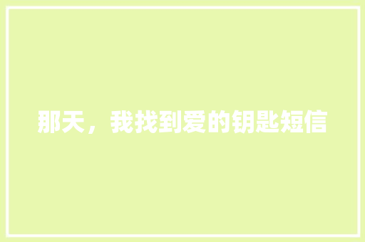 那天，我找到爱的钥匙短信