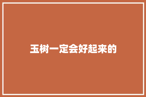 玉树一定会好起来的