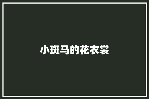 小斑马的花衣裳