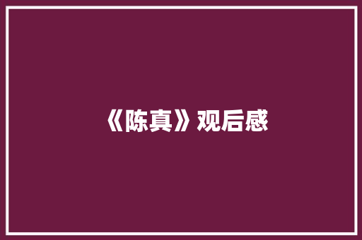 《陈真》观后感