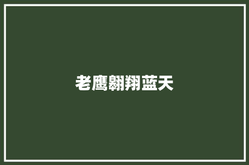 老鹰翱翔蓝天 知识百科 老鹰翱翔蓝天 知识百科