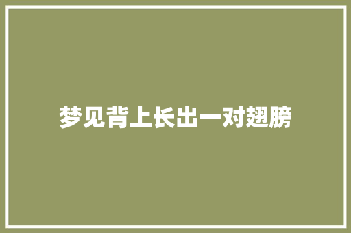梦见背上长出一对翅膀