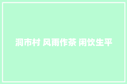 洞市村 风雨作茶 闲饮生平
