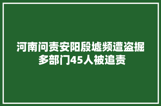 河南问责安阳殷墟频遭盗掘 多部门45人被追责