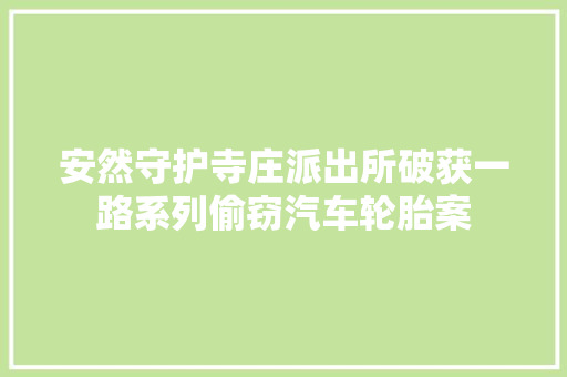 安然守护寺庄派出所破获一路系列偷窃汽车轮胎案