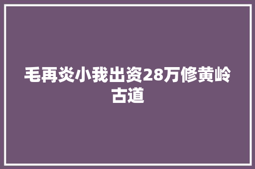毛再炎小我出资28万修黄岭古道