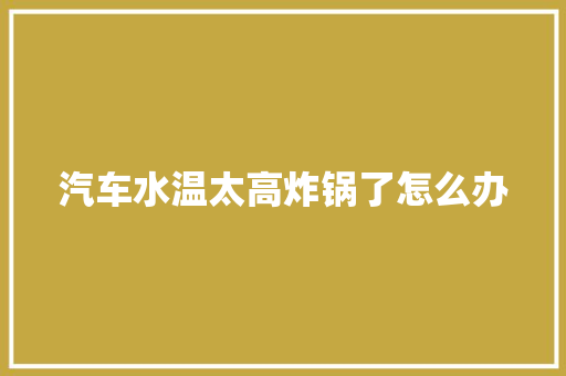 汽车水温太高炸锅了怎么办 汽车知识