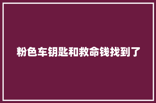 粉色车钥匙和救命钱找到了 汽车知识