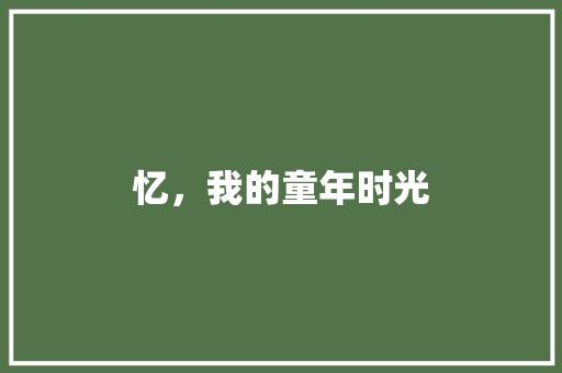 忆，我的童年时光