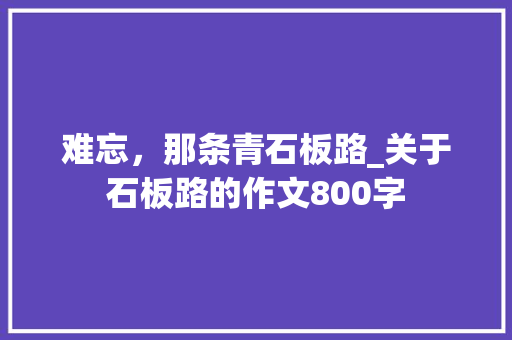 难忘，那条青石板路_关于石板路的作文800字