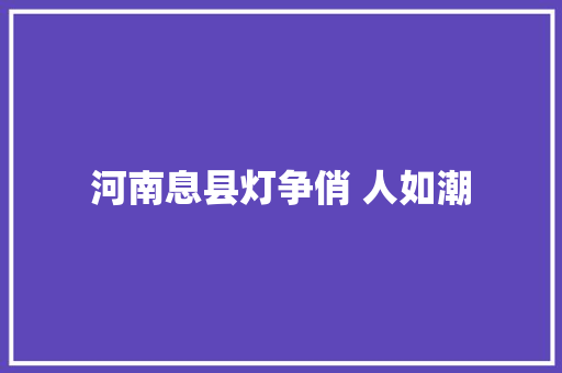 河南息县灯争俏 人如潮