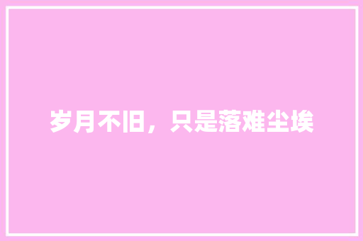 岁月不旧，只是落难尘埃