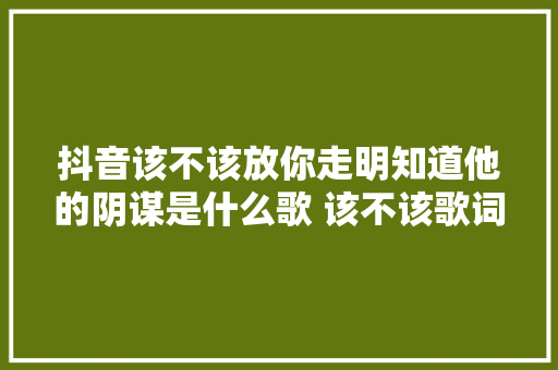 抖音该不该放你走明知道他的阴谋是什么歌 该不该歌词全文
