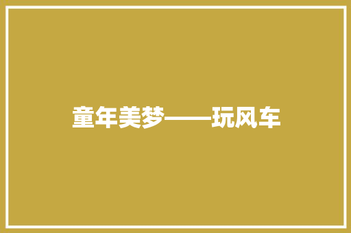 童年美梦――玩风车