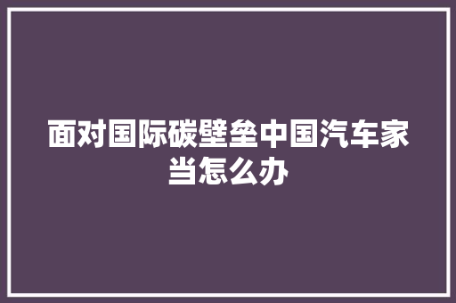 面对国际碳壁垒中国汽车家当怎么办