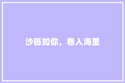 沙砾如你，卷入海里