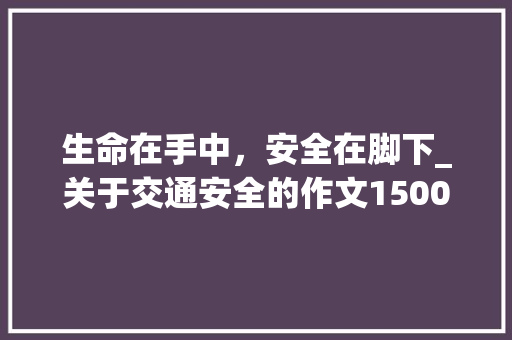 生命在手中，安全在脚下_关于交通安全的作文1500字