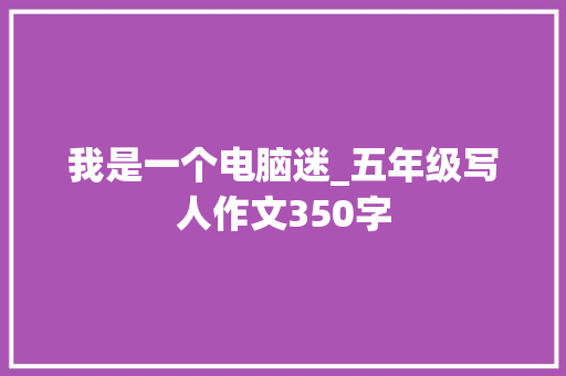 我是一个电脑迷_五年级写人作文350字