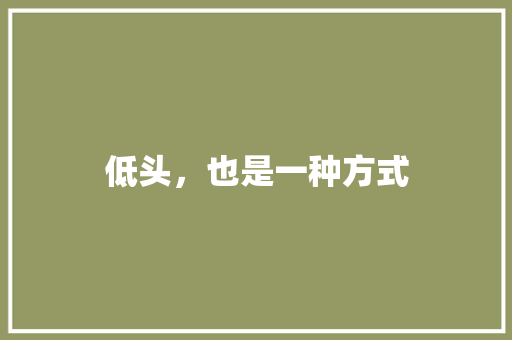 低头，也是一种方式