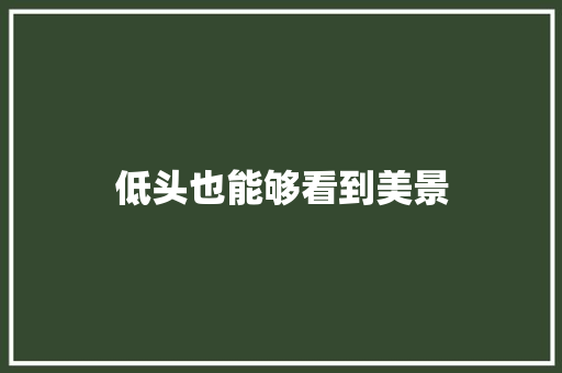 低头也能够看到美景