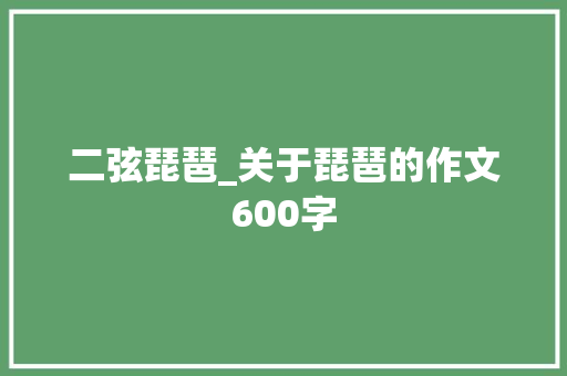 二弦琵琶_关于琵琶的作文600字