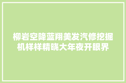 柳岩空降蓝翔美发汽修挖掘机样样精晓大年夜开眼界 汽车知识