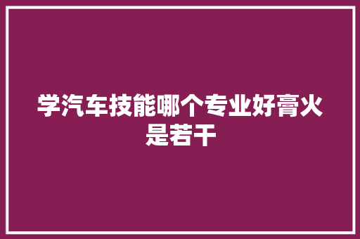 学汽车技能哪个专业好膏火是若干 汽车知识