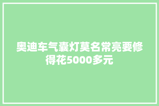 奥迪车气囊灯莫名常亮要修得花5000多元 汽车知识