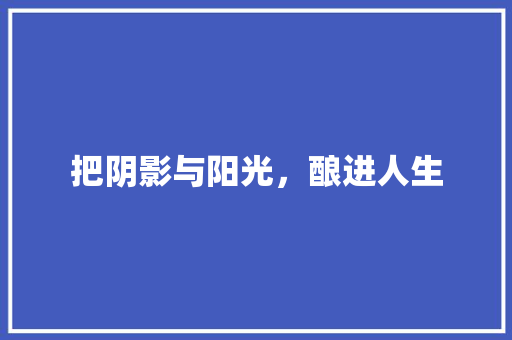 把阴影与阳光，酿进人生