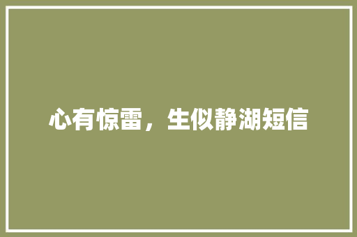 心有惊雷，生似静湖短信