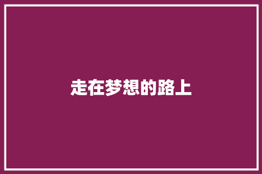 走在梦想的路上