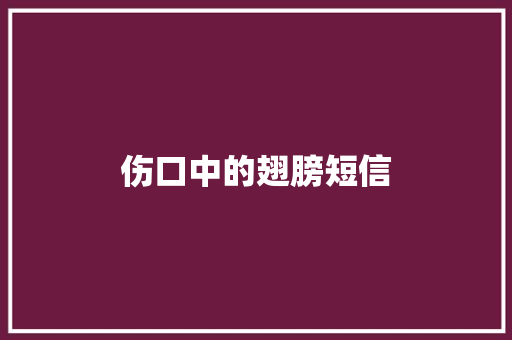 伤口中的翅膀短信