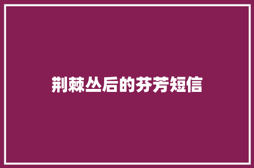 荆棘丛后的芬芳短信